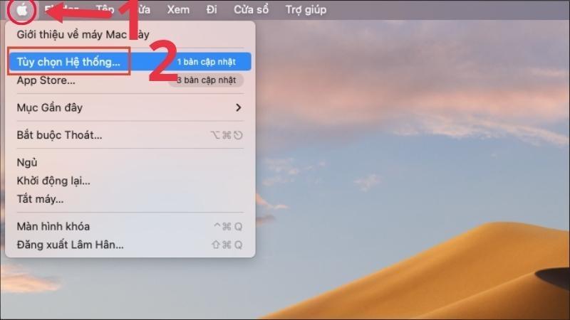 Chọn Menu Apple > Chọn mục Tuỳ chọn Hệ thống