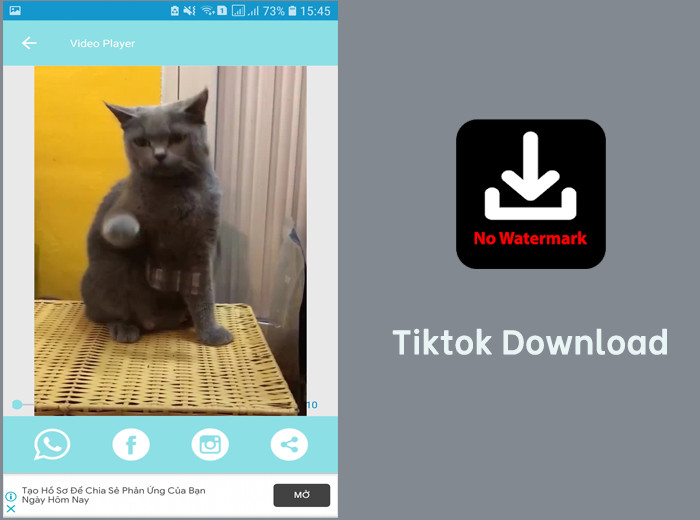 Tải Video TikTok Không Logo Về Dễ Dàng Với Tiktok Download