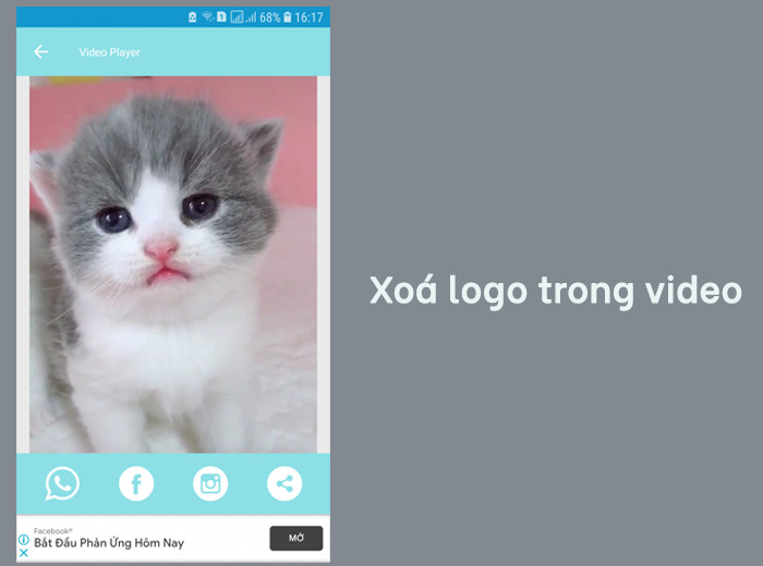 Tải Video TikTok Không Logo Về Dễ Dàng Với Tiktok Download