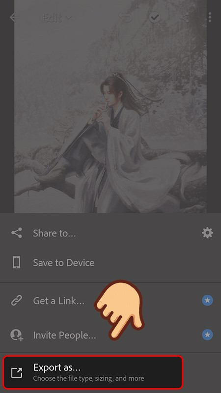 alt text: Bước 2 xuất ảnh Lightroom trên điện thoại