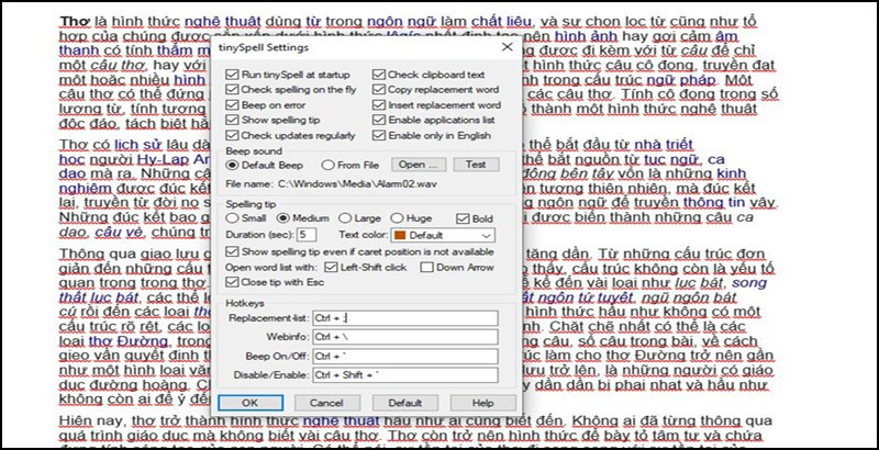 alt text: Giao diện của TinySpell