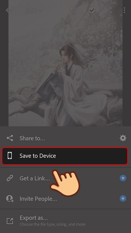 alt text: Mẹo xuất ảnh nhanh Lightroom trên điện thoại