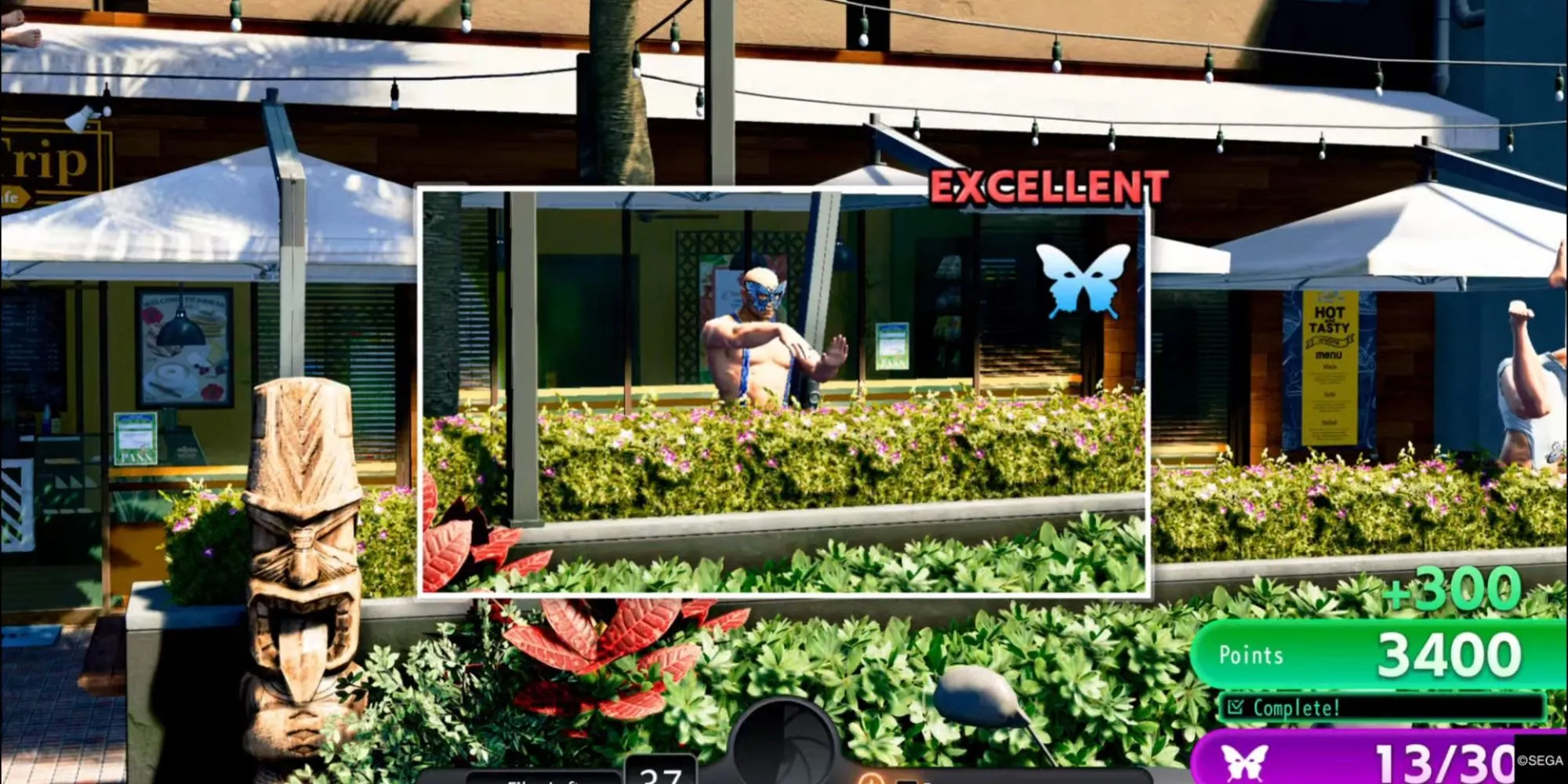 Ảnh chụp cận cảnh một Papillon Boy trong minigame Sicko Snap với điểm số hiển thị.