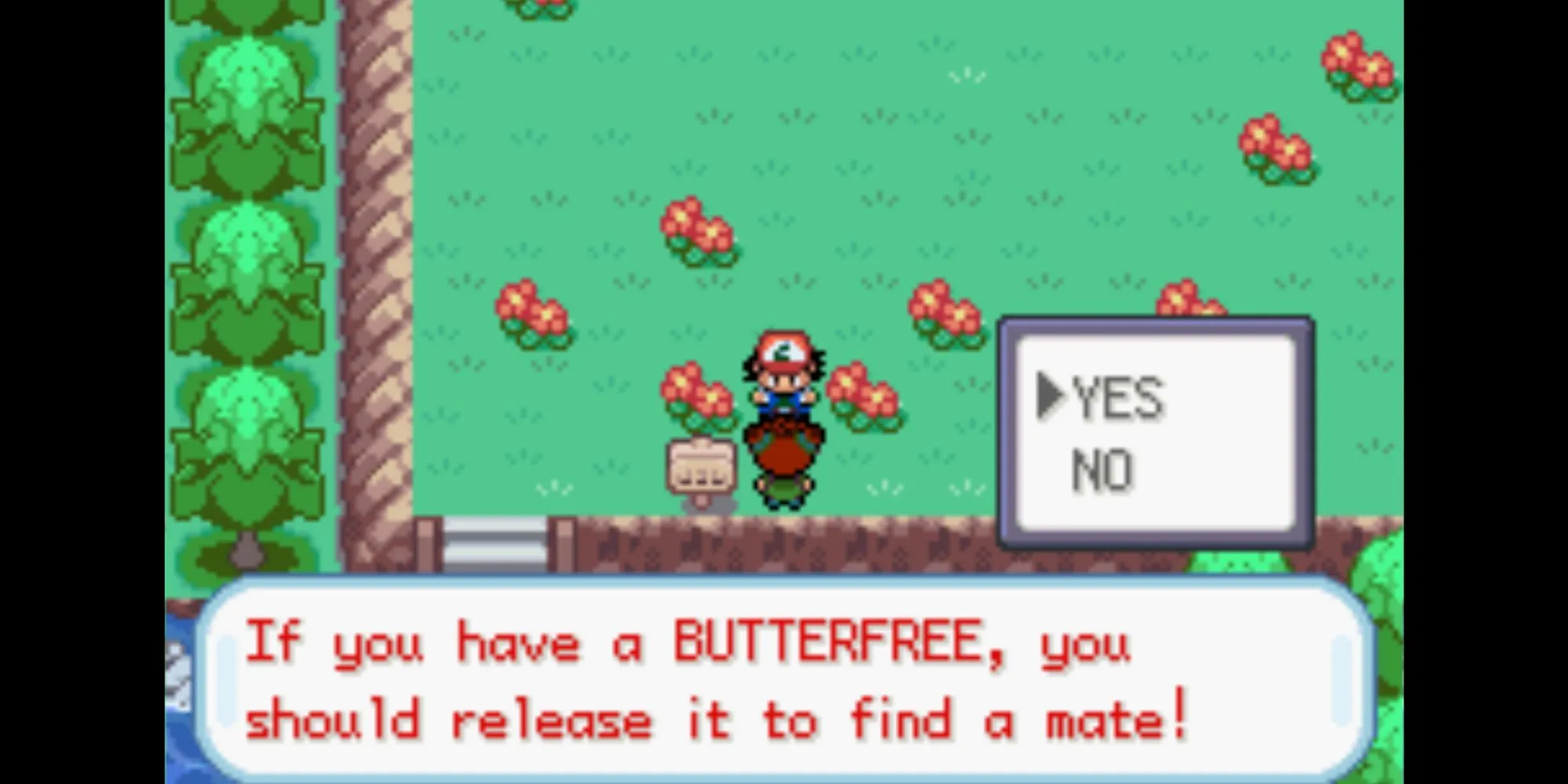 Ash chia tay Butterfree trên Tuyến Đường 7 trong Pokemon Ash Gray