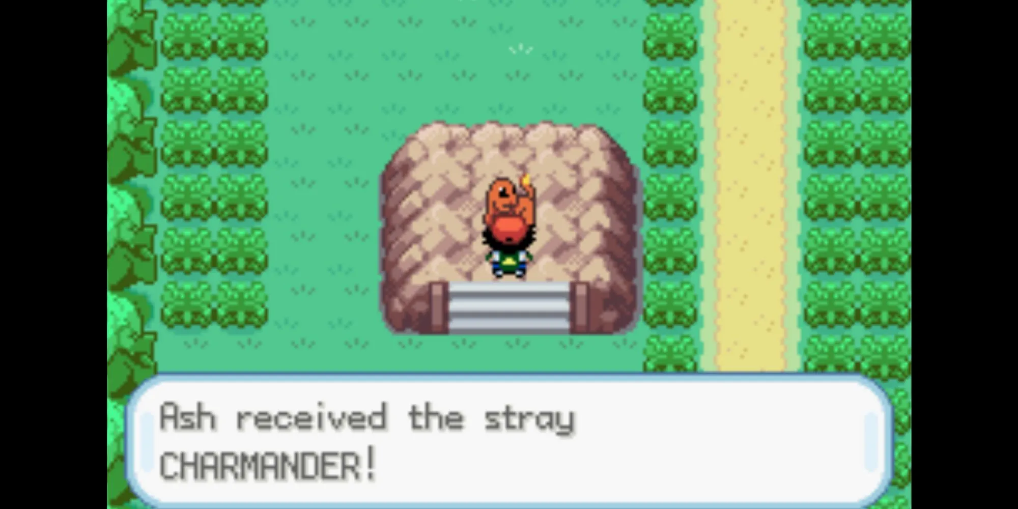 Ash tìm thấy Charmander bị bỏ rơi trên Tuyến Đường 5 trong Pokemon Ash Gray