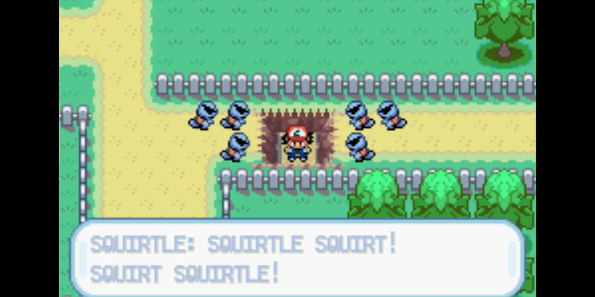 Đội hình Squirtle Squad tinh nghịch trong Pokemon Ash Gray
