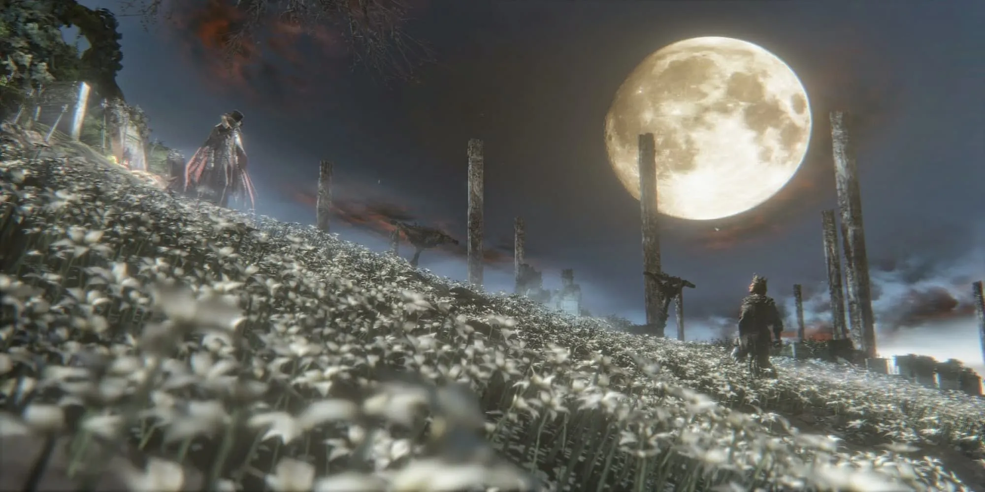 Gehrman, Thợ Săn Đầu Tiên trong Bloodborne, giữa một trường hoa trắng trong trận đấu boss cuối đầy bi kịch