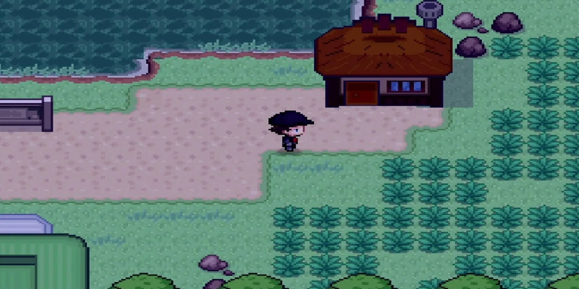 Khu Safari ở Thành phố Fuchsia, ngay sau lối vào trong Pokemon Infinite Fusion
