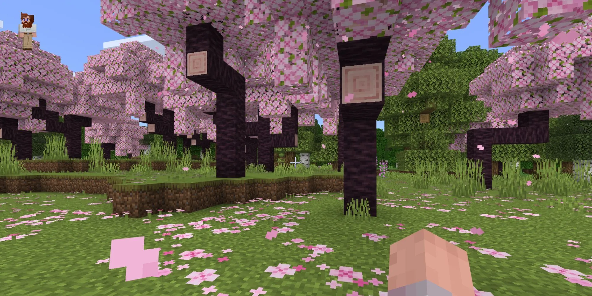 Khung cảnh rừng hoa anh đào thơ mộng trong thế giới mở Minecraft