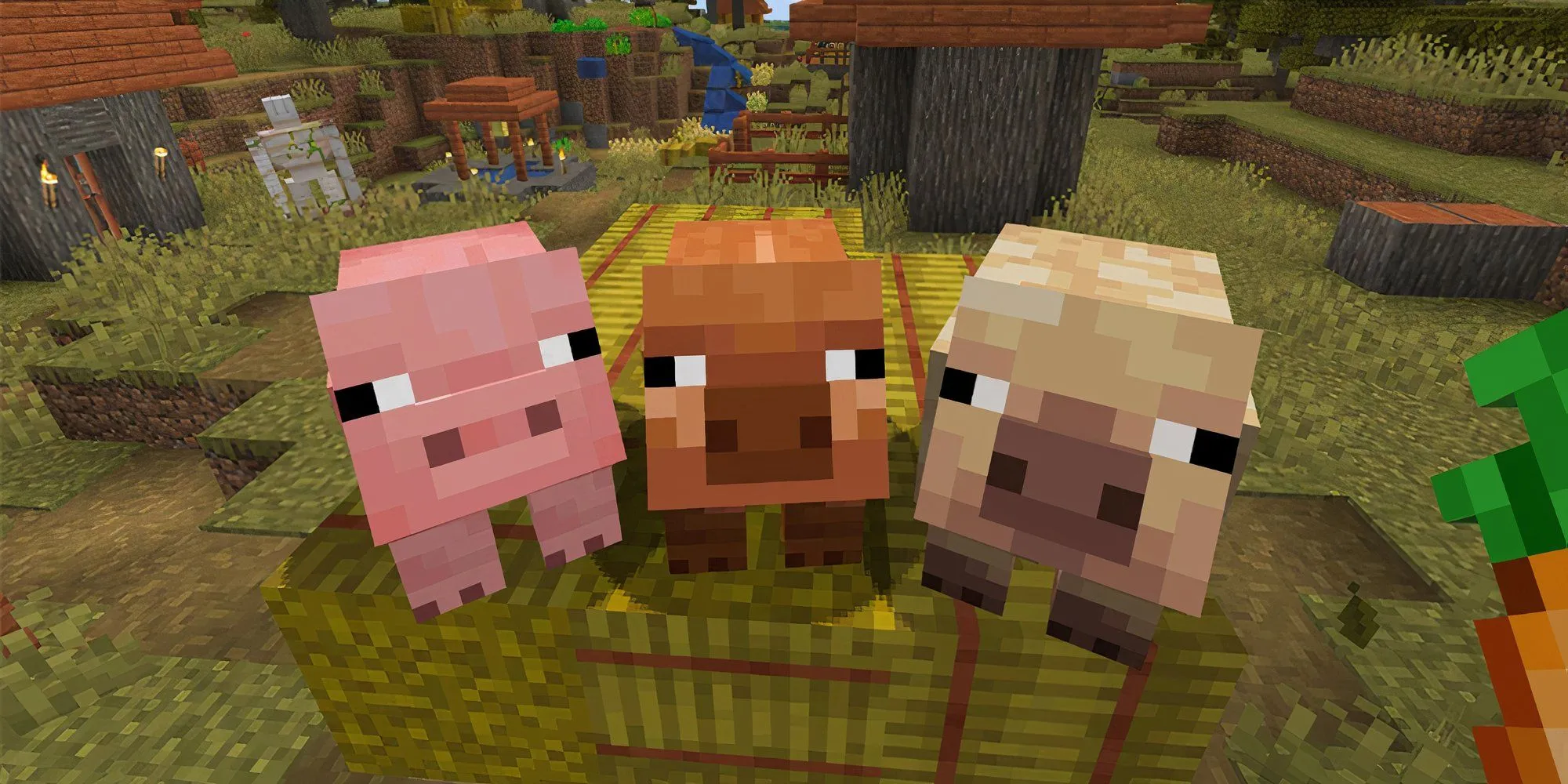 Ảnh chụp nhanh Minecraft Tất cả các biến thể lợn