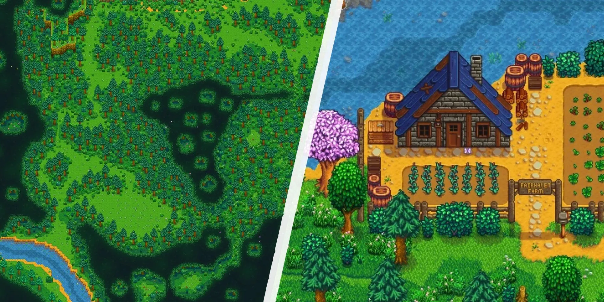 Các địa điểm mới trong Rừng Cindersap ở mod Stardew Valley Expanded