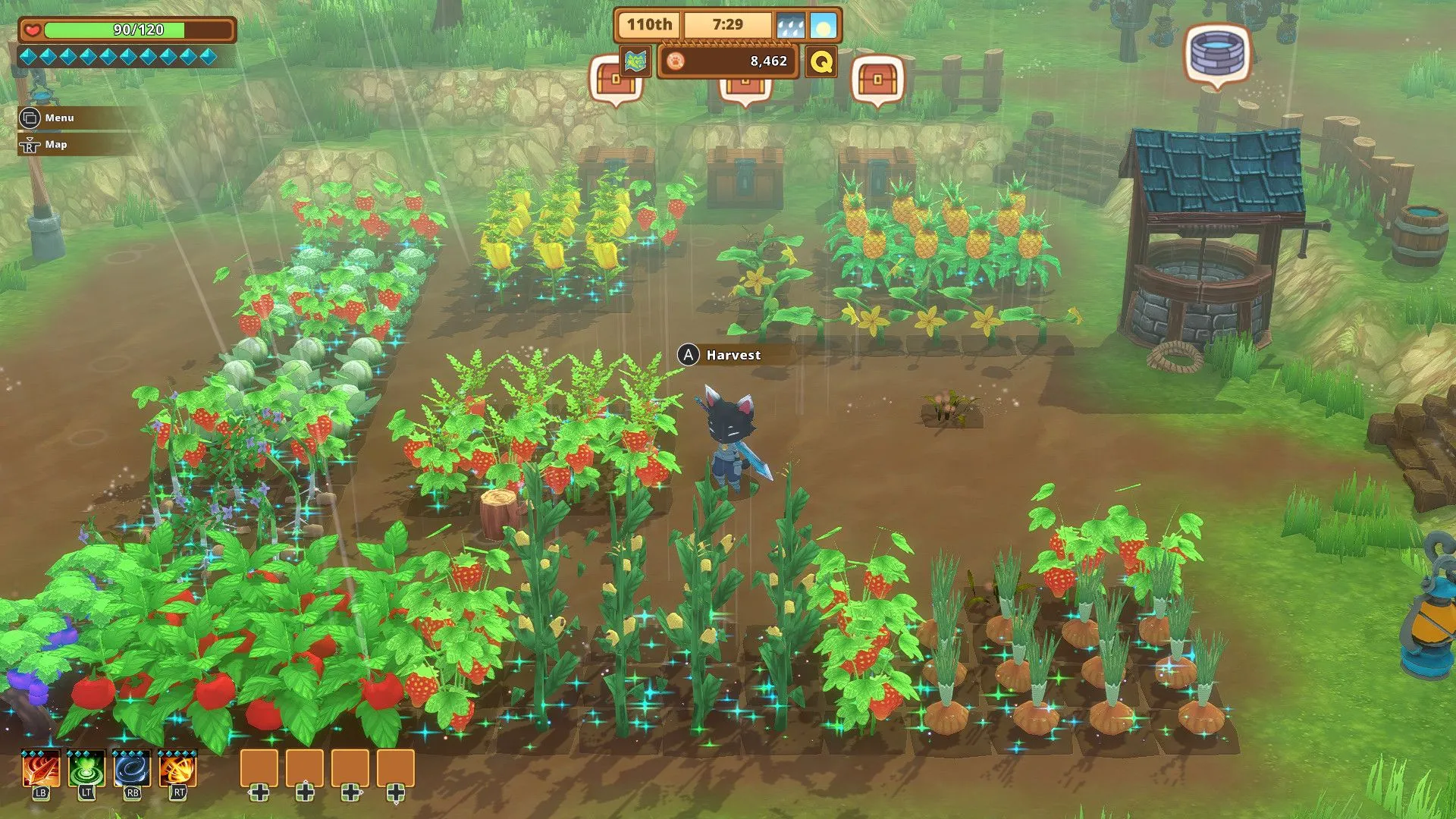 Cận cảnh khu vực trồng trọt trong game Kitaria Fables