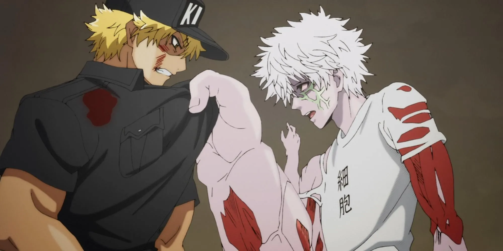 Cell At Work anime