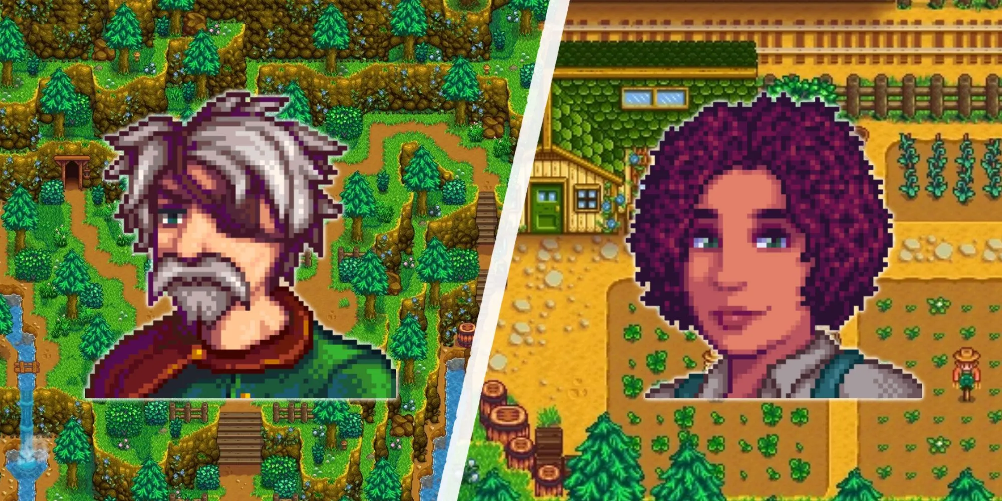 Hai nhân vật mới có thể kết bạn trong mod SDV Expanded: Marlon và Susan, từ Stardew Valley