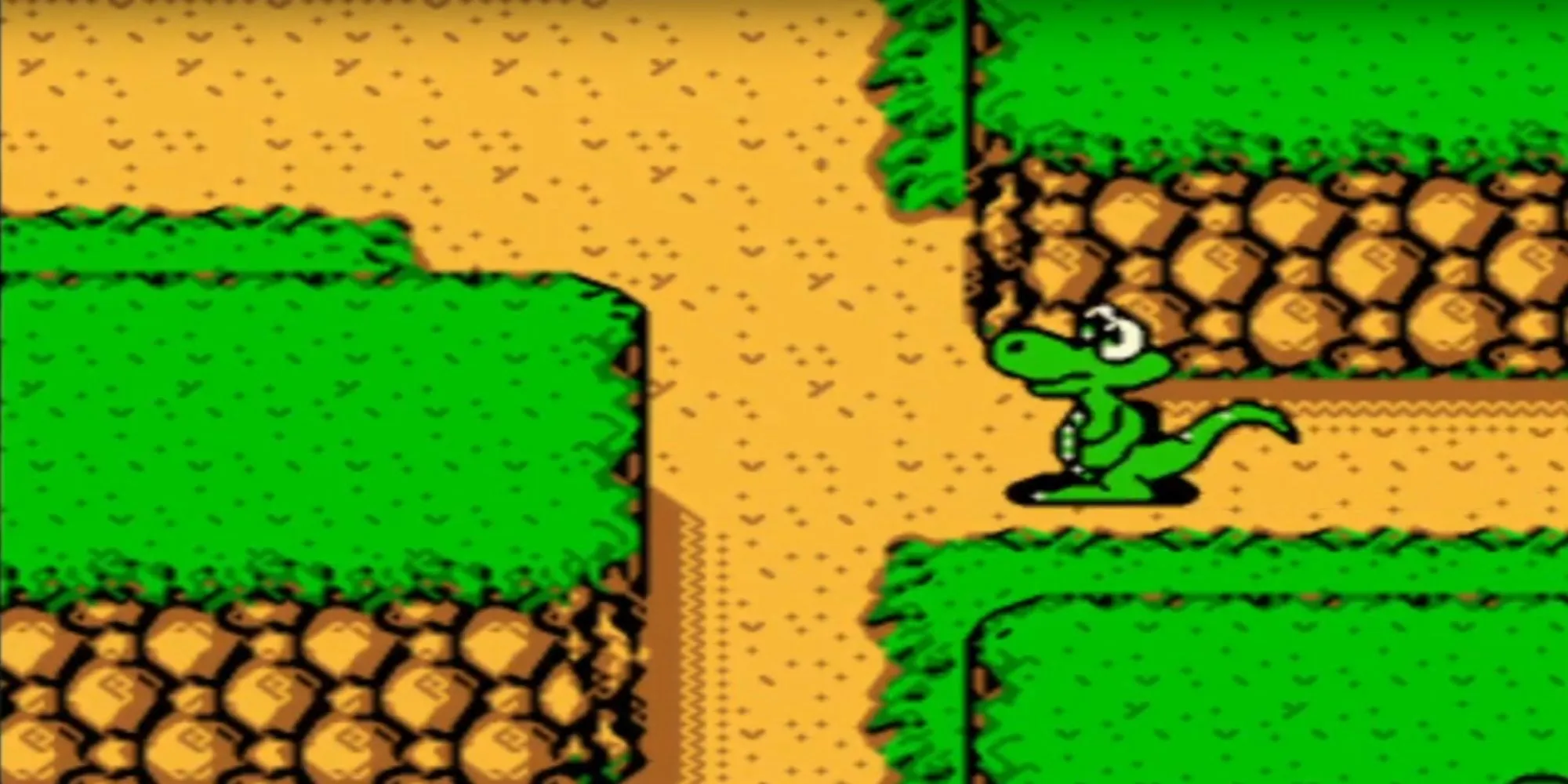 Nhân vật Croc trong môi trường game phiêu lưu Croc 2 với góc nhìn từ trên xuống trên Game Boy Color