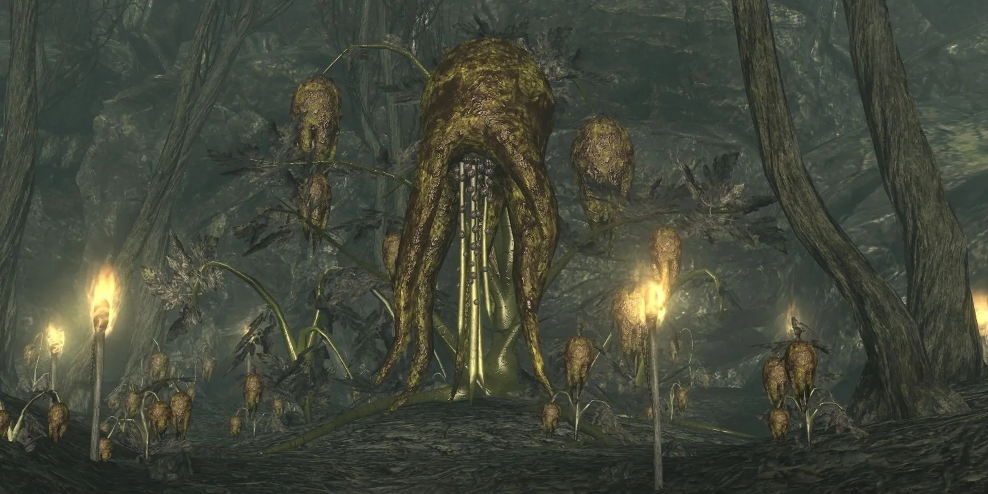 Quả Mother Punga trong khu vực Point Lookout của game Fallout 3