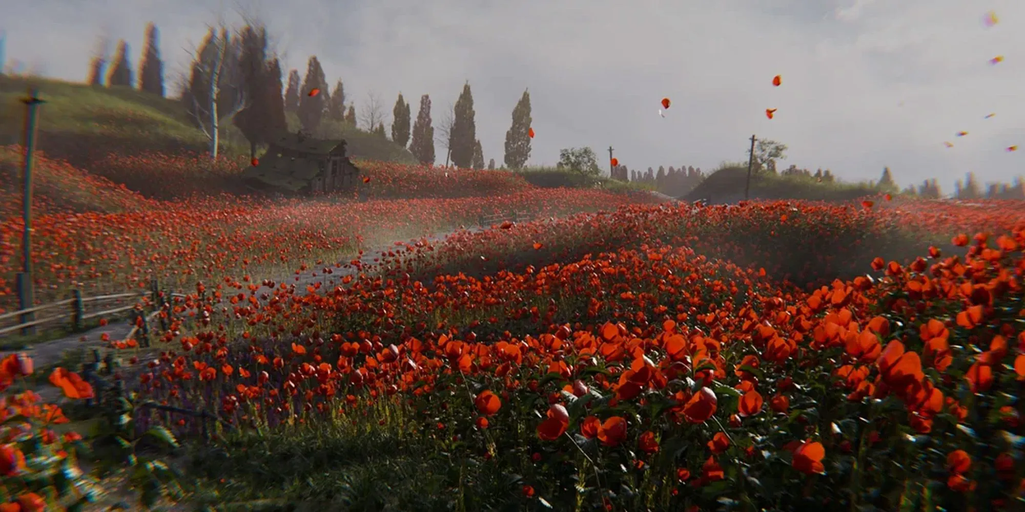 Cánh đồng hoa anh túc Poppy Field trong STALKER 2 ẩn chứa nguy hiểm thôi miên