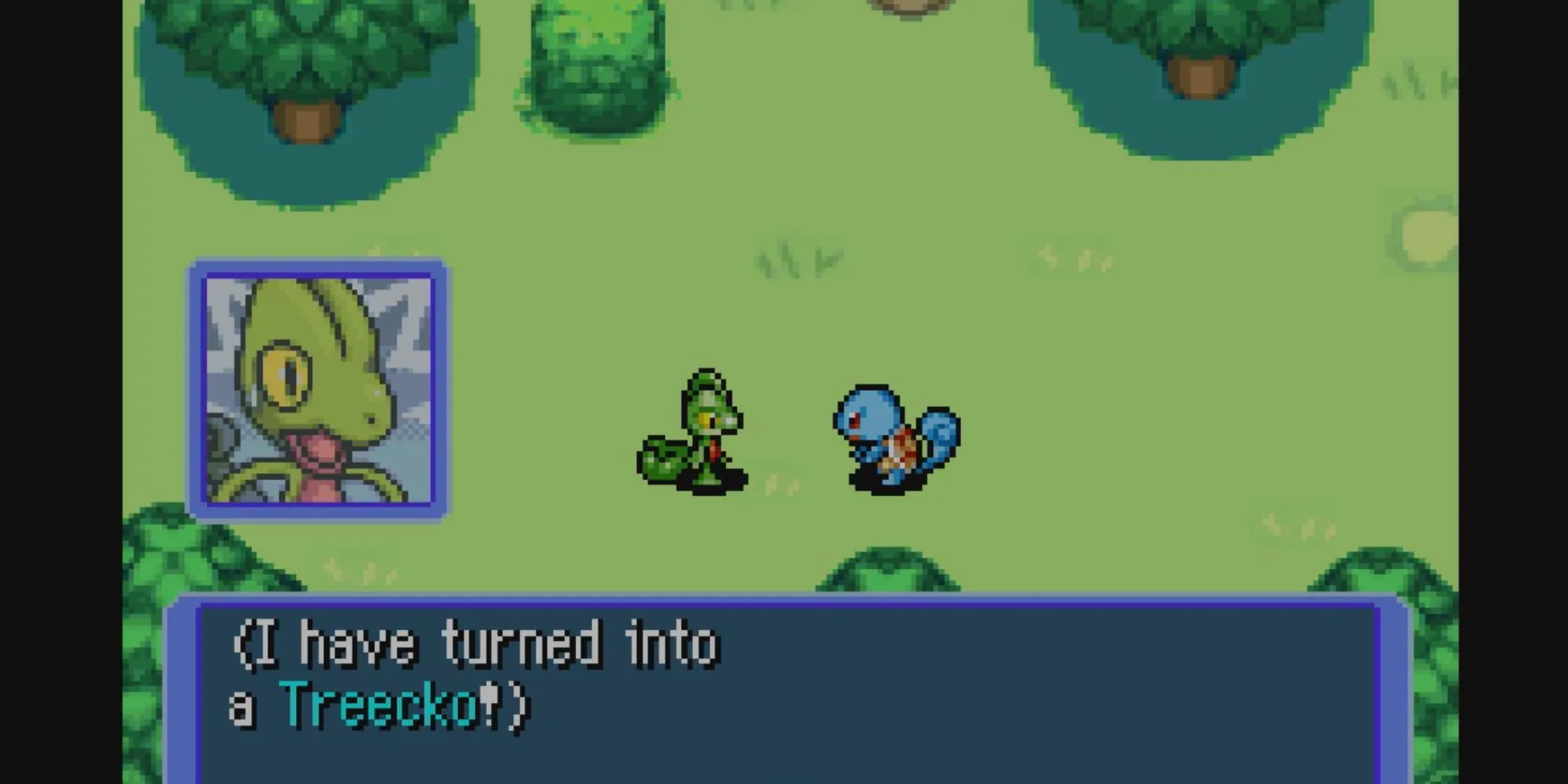 Nhân vật người chơi hóa thân thành Treecko trong Pokémon Mystery Dungeon Red Rescue Team nói chuyện với Squirtle
