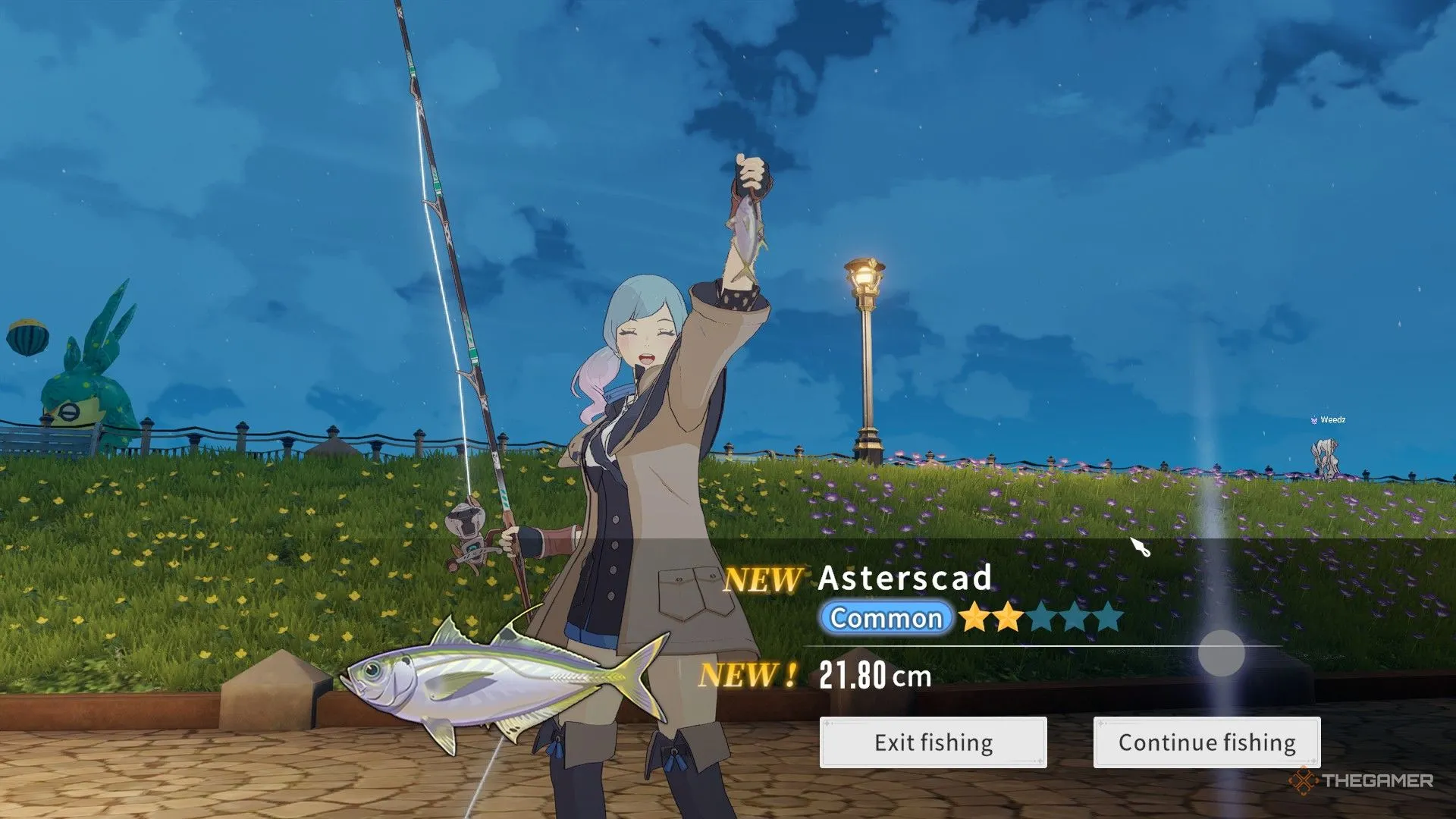 Bắt Astercad lần đầu ở Yacht Harbor khi hoàn thành quest mời vào Fishing Guild, minh họa phần thưởng và vị trí bắt