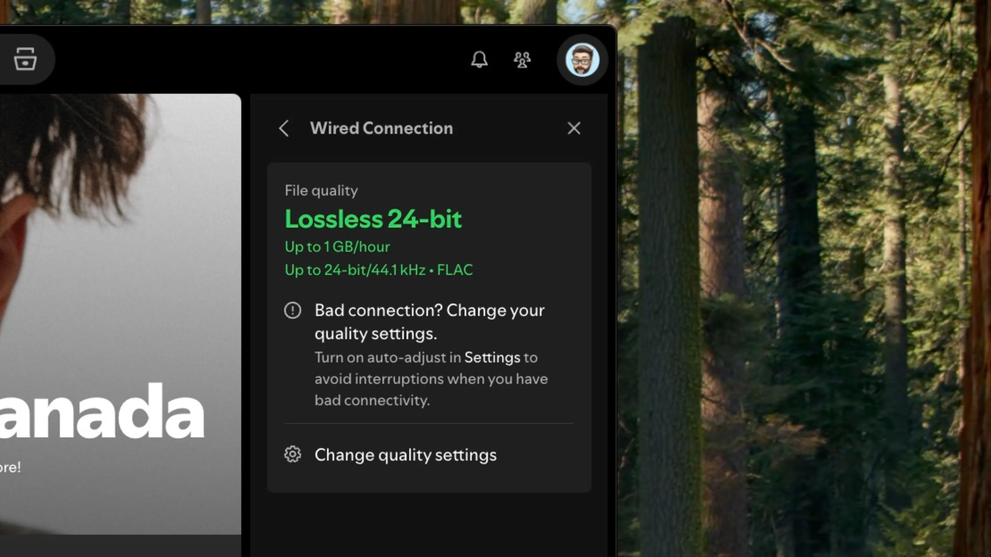 Giao diện Spotify Lossless trên ứng dụng desktop hiển thị tùy chọn FLAC 24-bit