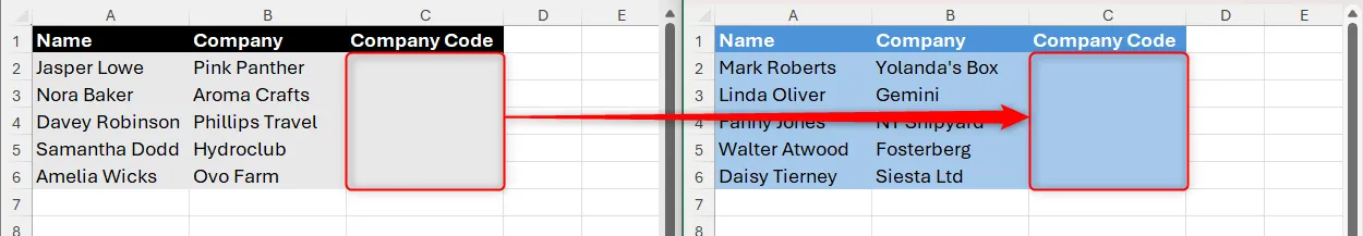 Hai worksheet với các ô thông tin và vùng nhập mã công ty, minh họa việc sao chép validation giữa sheets.