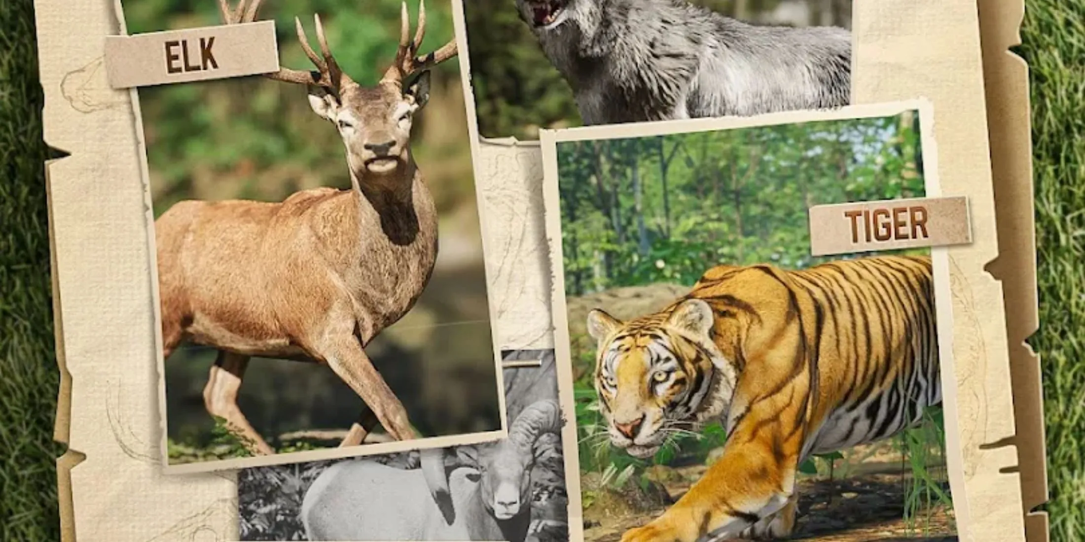 Hình ảnh hươu và hổ trong Hunting Sniper minh họa phần thưởng và vũ khí mới