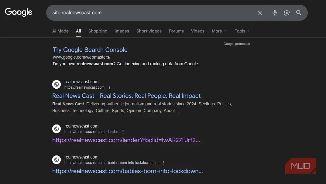 Kết quả tìm kiếm site cho miền khả nghi, hiển thị index và snapshot