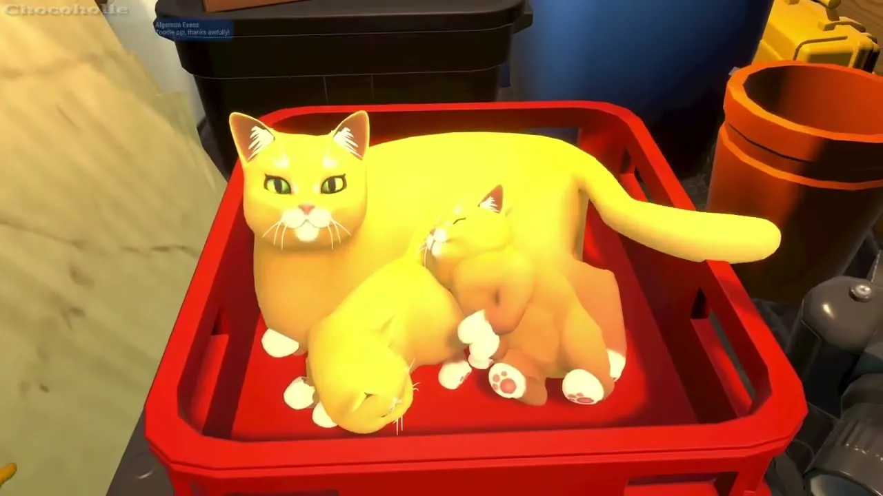 Màn hình kết thúc PowerWash Simulator với các yếu tố trang trí như gnome và mèo